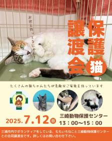 譲渡会のお知らせ　7月12日（土）