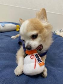 年末年始のお知らせ