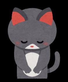 休診のお知らせ(1/17)